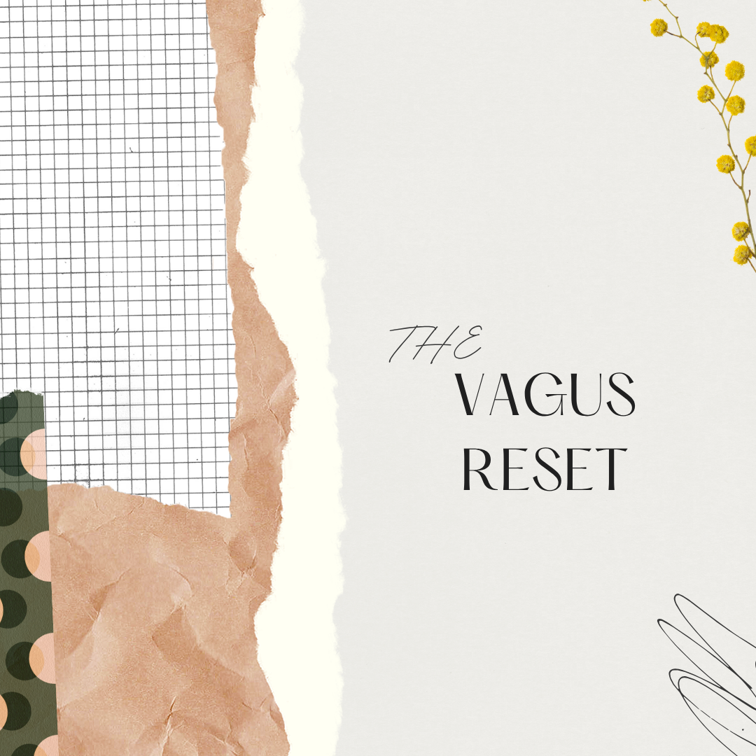 The Vagus Reset EBOOK BEST SELLER